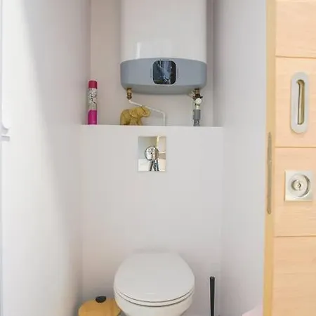 L'elebasch - - Randonnee Puy De Dome 里永