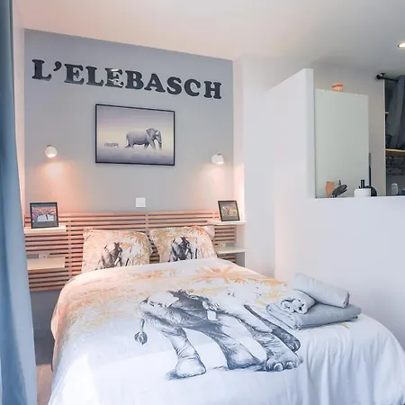 L'elebasch - - Randonnee Puy De Dome Riom