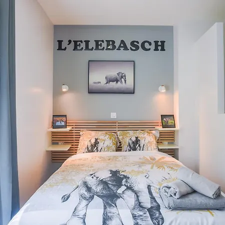 L'elebasch - - Randonnée Puy De Dôme *