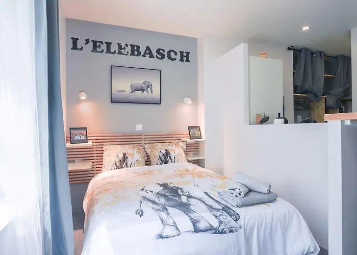 L'elebasch - - Randonnée Puy De Dôme Riom